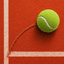 CourtSense icon
